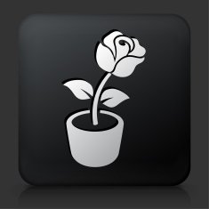 Black Square Button with Rose Flower Icon