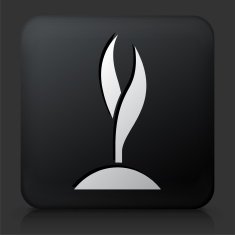Black Square Button with Tree Growing Icon