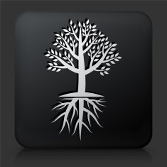 Black Square Button with Tree Icon N13