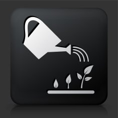 Black Square Button with Watering Plants