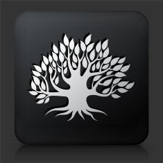 Black Square Button with Tree Icon N15