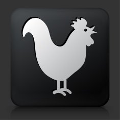 Black Square Button with Rooster Icon