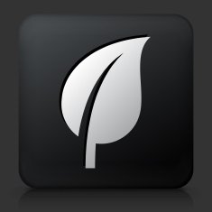 Black Square Button with Leaf Icon N14