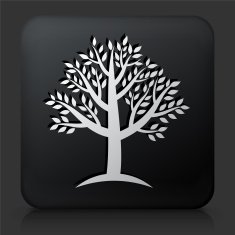 Black Square Button with Tree Icon N16