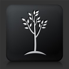 Black Square Button with Tree Icon N19