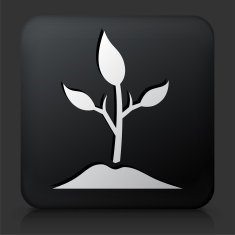 Black Square Button with Plant