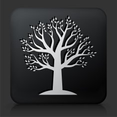 Black Square Button with Tree