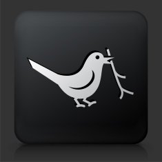 Black Square Button with Bird Icon N6