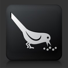 Black Square Button with Bird Icon N7