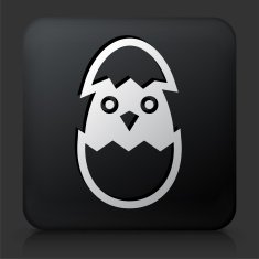 Black Square Button with Hatching Bird N2