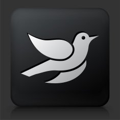 Black Square Button with Bird Icon N8