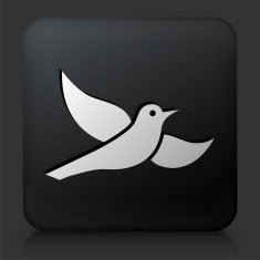 Black Square Button with Bird Icon N9