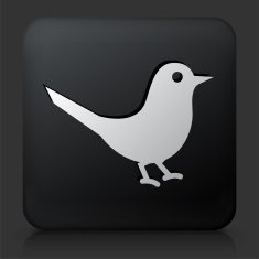 Black Square Button with Bird Icon N10