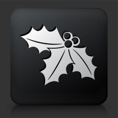 Black Square Button with Poinsettia Icon