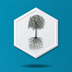 White 3D Hexagon Icon On Blue With Tree and Roots