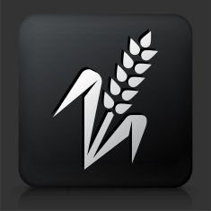 Black Square Button with Wheat Plant