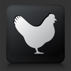 Black Square Button with Chicken