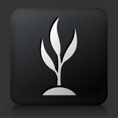 Black Square Button with Growing tree Icon N4