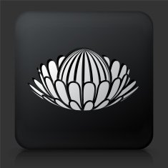 Black Square Button with Tea Icon N5