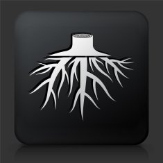 Black Square Button with Tree Root Icon