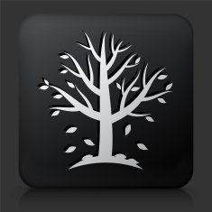 Black Square Button with Tree Icon N20