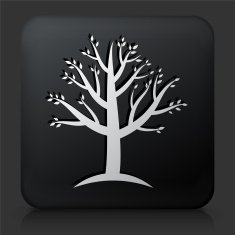 Black Square Button with Tree Icon N21