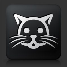 Black Square Button with Cat N2