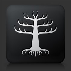 Black Square Button with Tree Icon N22