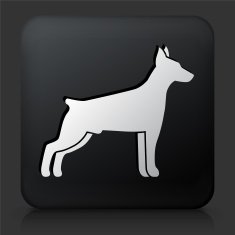 Black Square Button with Dog Silhouette