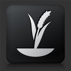 Black Square Button with Grain
