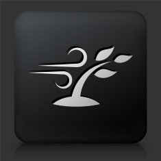 Black Square Button with Nature and Wind