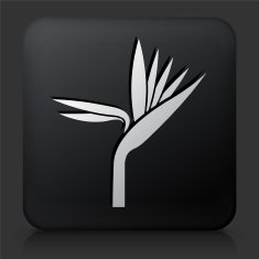 Black Square Button with Exotic Flower