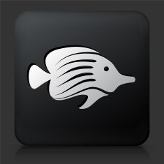 Black Square Button with Tropical Fish