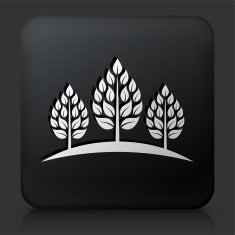 Black Square Button with Tree Icon N24