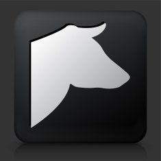 Black Square Button with Cow's Head Icon