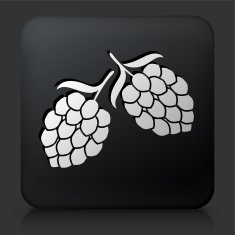 Black Square Button with Hops