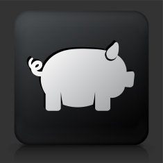 Black Square Button with Pig Icon N4
