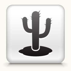 White Square Button with Cactus Icon