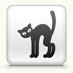 White Square Button with Black Halloween Cat