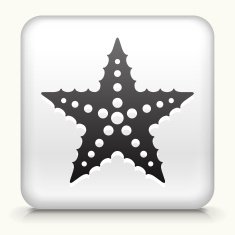 White Square Button with Starfish