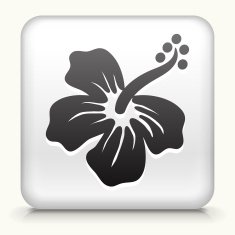 White Square Button with Tropical Flower Icon