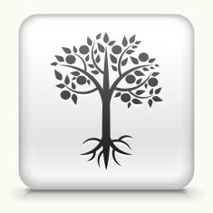 White Square Button with Tree Icon N3