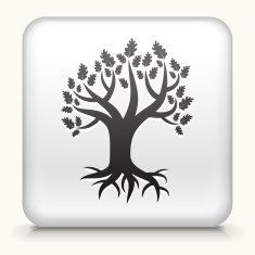 White Square Button with Tree Icon N4