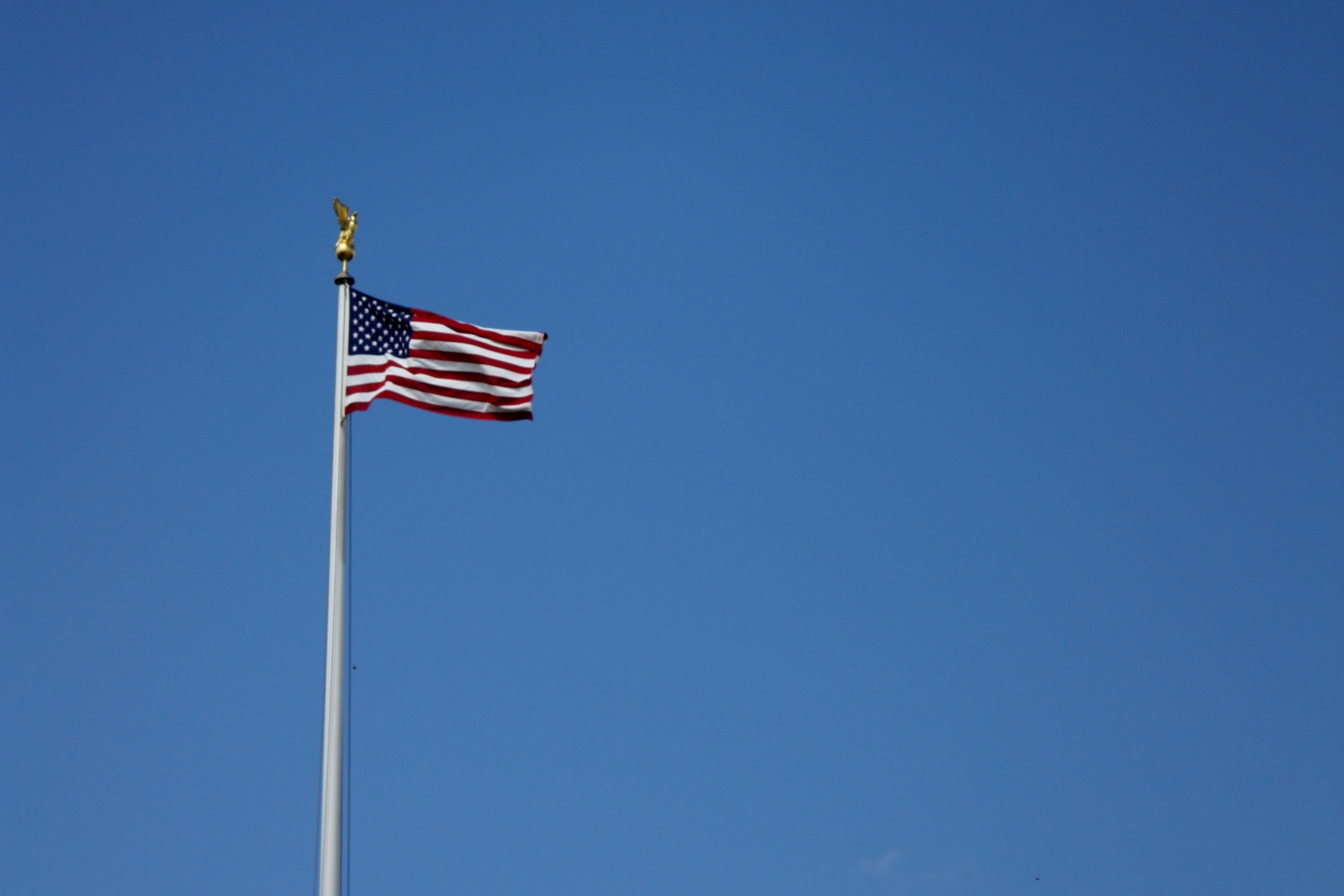 Flag usa nationality free image download