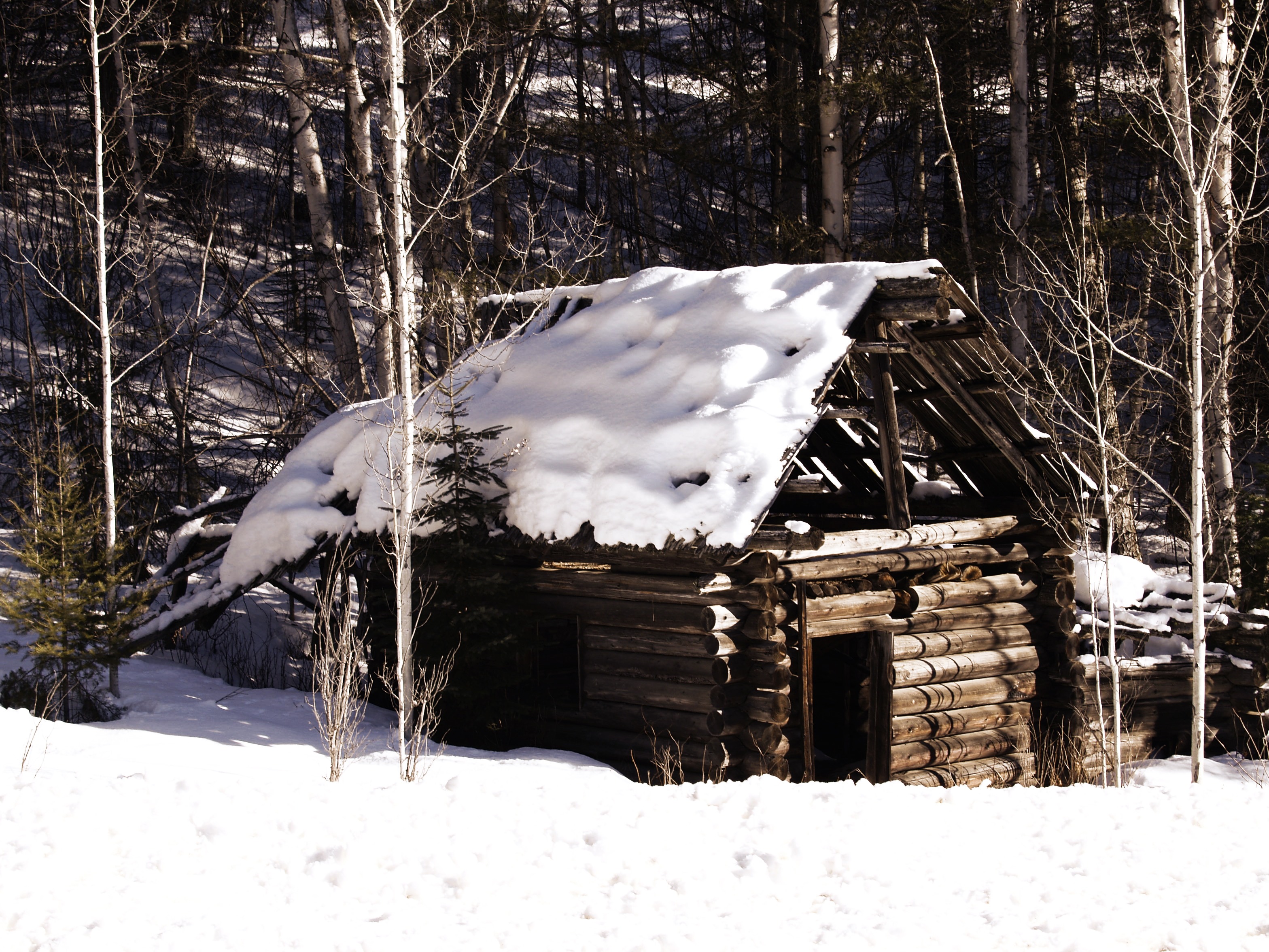 Старый домик в лесу зимой