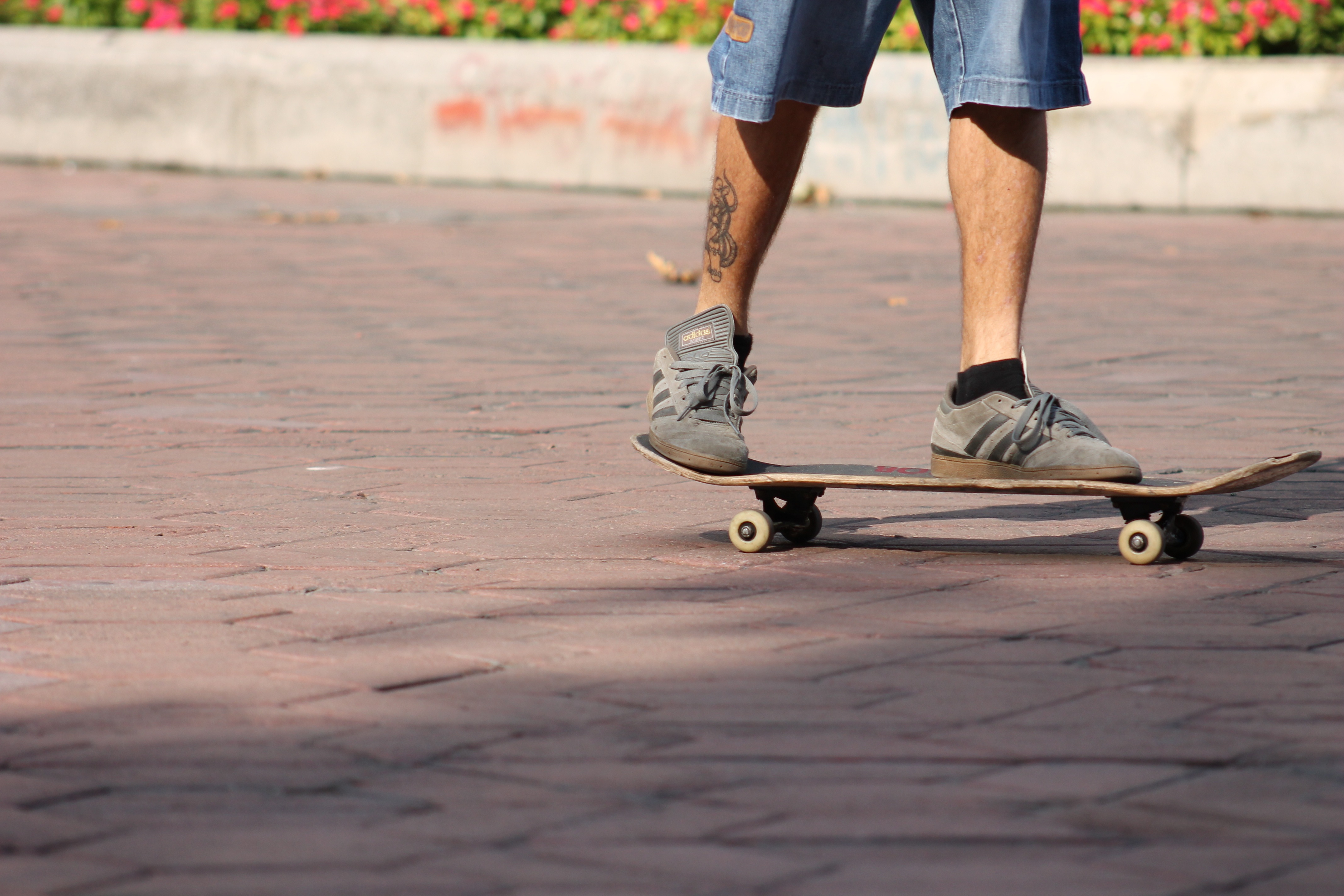 Man riding a skateboard on the pavement free image download