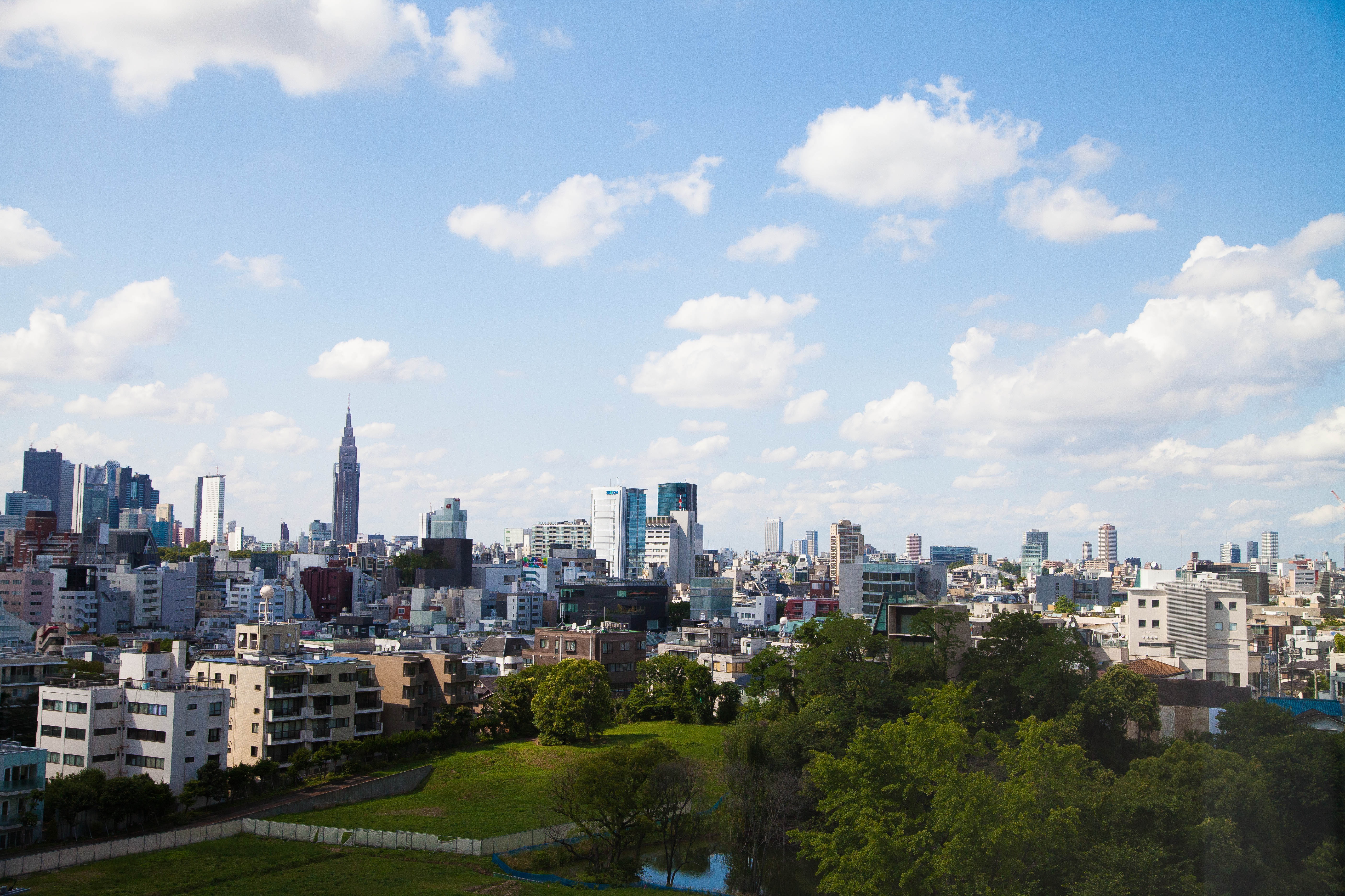 Cityscape Of Tokyo At The Daytime Free Image