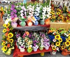 variety of flowers in a market stall