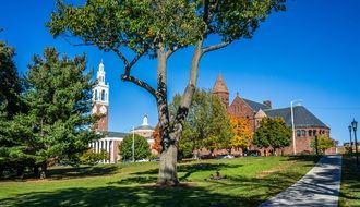 garden in the University of Vermont