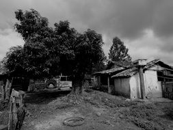 old building among trees in black and white background